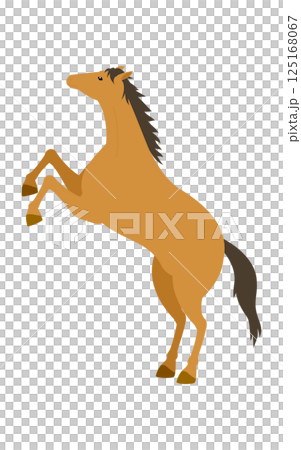 一匹馬站立的簡單向量插圖 125168067