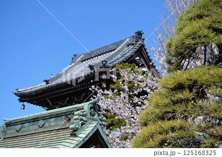 葛飾柴又「帝釈天」境内から大鐘楼 125168325