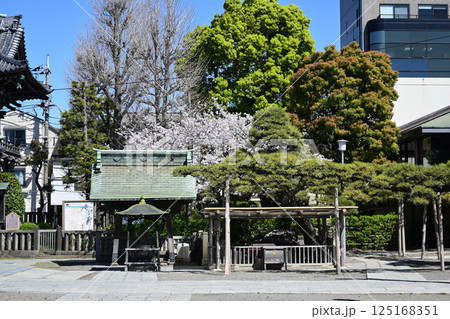 葛飾柴又「帝釈天」御神水と浄行菩薩 125168351