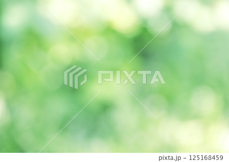 グリーン系 春 初夏 4月 木漏れ日 アウトフォーカス 玉ボケ 鮮やか 背景素材 グリーン系 春 初夏 4月 木漏れ日 アウトフォーカス 玉ボケ 鮮やか 背景素材 125168459