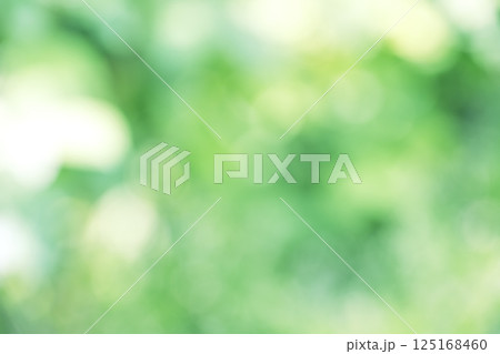 グリーン系 春 初夏 4月 木漏れ日 アウトフォーカス 玉ボケ 鮮やか 背景素材 125168460