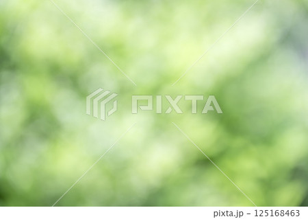グリーン系 春 初夏 4月 木漏れ日 アウトフォーカス 玉ボケ 鮮やか 背景素材 125168463