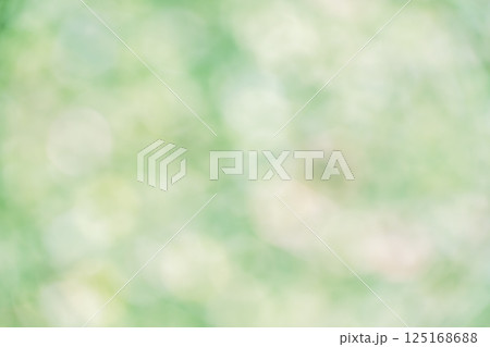 グリーン系 淡い 4月 春 木漏れ日 自然 アウトフォーカス 緑色 単色 グリーン系 淡い 4月 春 木漏れ日 自然 アウトフォーカス 緑色 単色 125168688