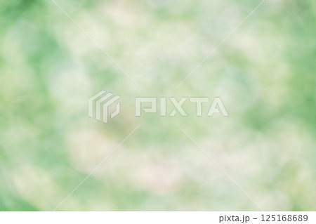 グリーン系 淡い 4月 春 木漏れ日 自然 アウトフォーカス 緑色 単色 グリーン系 淡い 4月 春 木漏れ日 自然 アウトフォーカス 緑色 単色 125168689