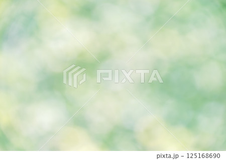 グリーン系 淡い 4月 春 木漏れ日 自然 アウトフォーカス 緑色 単色 グリーン系 淡い 4月 春 木漏れ日 自然 アウトフォーカス 緑色 単色 125168690
