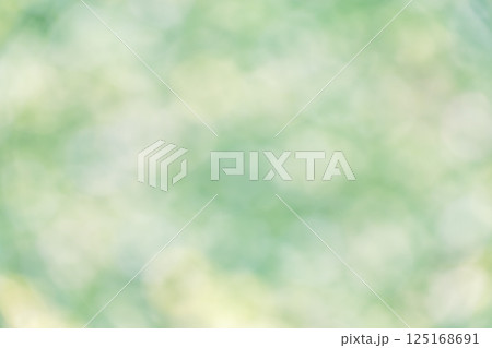 グリーン系 淡い 4月 春 木漏れ日 自然 アウトフォーカス 緑色 単色 グリーン系 淡い 4月 春 木漏れ日 自然 アウトフォーカス 緑色 単色 125168691