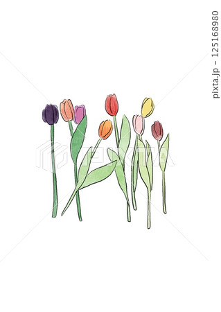 チューリップの花束 125168980
