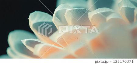 Close-up view of layered paper textures highlighting soft curves and edges with a dark backdrop. 125170371