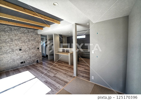 ペット同居型デザイナーズ住宅のお洒落なリビング ペット同居型デザイナーズ住宅のお洒落なリビング 125170396