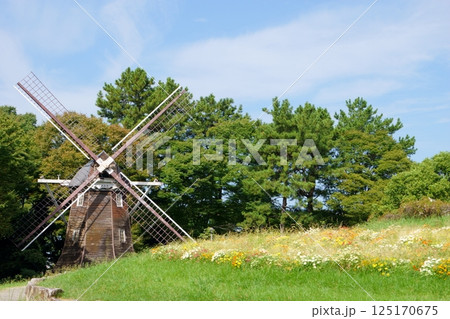 風車と花壇 名城公園 風車と花壇 名城公園 125170675