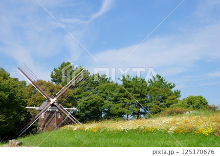 花と風車のある風景 名城公園 花と風車のある風景 名城公園 125170676
