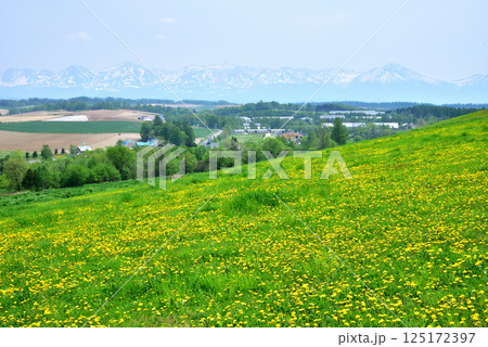初夏の北海道美瑛町風景　美瑛の丘　残雪の十勝岳連峰　 125172397
