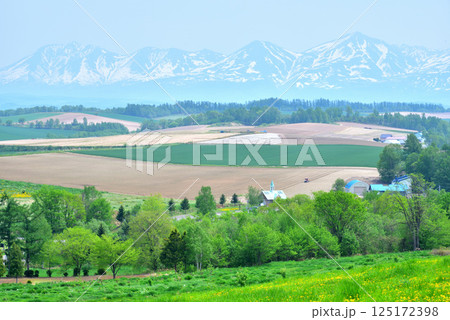 初夏の北海道美瑛町風景 美瑛の丘 残雪の十勝岳連峰 初夏の北海道美瑛町風景 美瑛の丘 残雪の十勝岳連峰 125172398