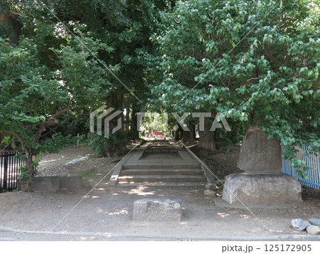 川越市の三芳野神社（境内入口） 125172905