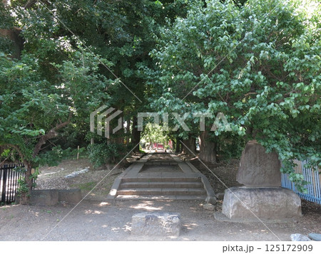川越市の三芳野神社(境内入口) 川越市の三芳野神社(境内入口) 125172909