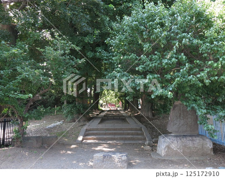 川越市の三芳野神社（境内入口） 125172910