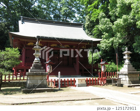 川越市の三芳野神社 川越市の三芳野神社 125172911