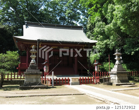 川越市の三芳野神社 125172912
