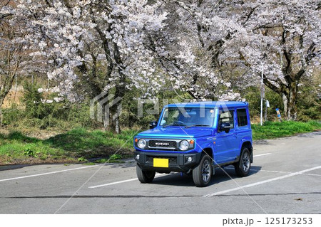 本格派4駆なのにキュートな外観… 『ジムニー』と満開の桜 125173253