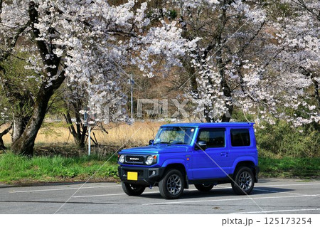 本格派4駆なのにキュートな外観… 『ジムニー』と満開の桜 本格派4駆なのにキュートな外観… 『ジムニー』と満開の桜 125173254