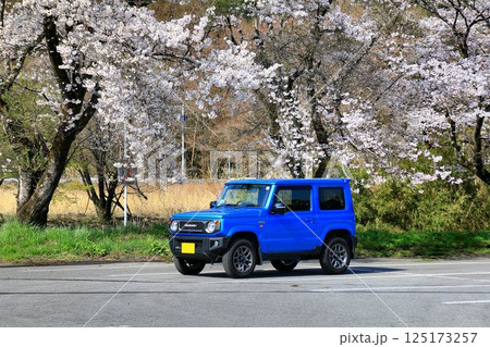 本格派4駆なのにキュートな外観… 『ジムニー』と満開の桜 125173257