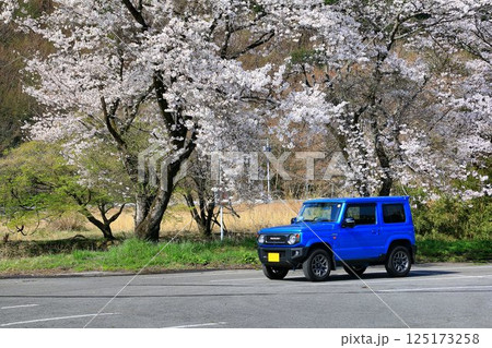 本格派4駆なのにキュートな外観… 『ジムニー』と満開の桜 125173258