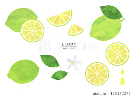 水彩風　グリーンレモンのイラスト素材セット 125173275