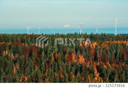 Black Forest in autumn above view and windmills at the horizon 125173916