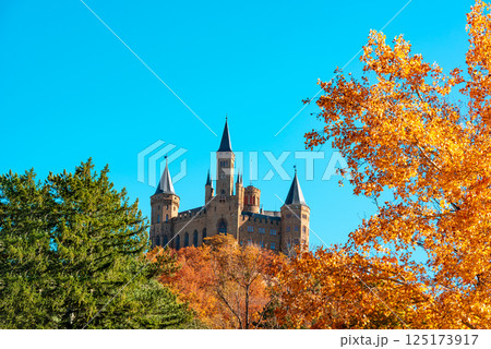 Hohenzollern castle in Black Forest on a sunny day of autumn 125173917
