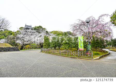 西尾市歴史公園(4月初旬) 西尾市歴史公園(4月初旬) 125174739