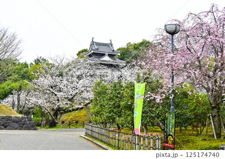 西尾市歴史公園（4月初旬） 125174740
