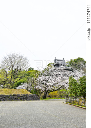 西尾市歴史公園（4月初旬） 125174744