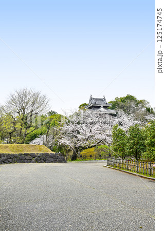 西尾市歴史公園(4月初旬) 西尾市歴史公園(4月初旬) 125174745