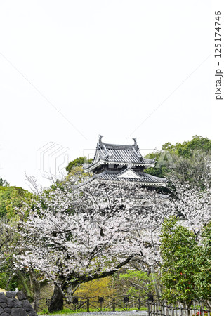 西尾市歴史公園（4月初旬）　本丸丑寅櫓（ほんまるうしとらやぐら） 125174746