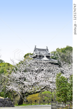 西尾市歴史公園（4月初旬）　本丸丑寅櫓（ほんまるうしとらやぐら） 125174747