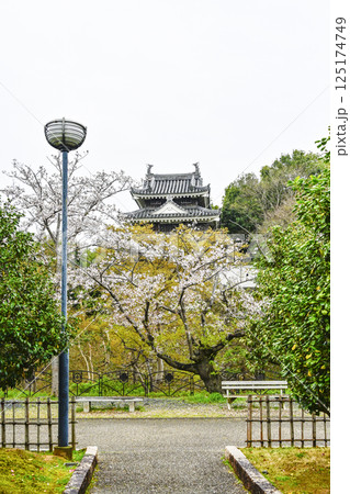 西尾市歴史公園(4月初旬) 本丸丑寅櫓(ほんまるうしとらやぐら) 西尾市歴史公園(4月初旬) 本丸丑寅櫓(ほんまるうしとらやぐら) 125174749