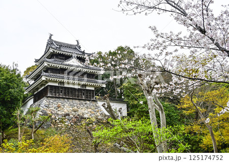 西尾市歴史公園（4月初旬）　本丸丑寅櫓（ほんまるうしとらやぐら） 125174752