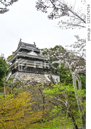 西尾市歴史公園(4月初旬) 本丸丑寅櫓(ほんまるうしとらやぐら) 西尾市歴史公園(4月初旬) 本丸丑寅櫓(ほんまるうしとらやぐら) 125174754