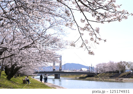 「田布施川」桜の散歩道。中央にさくら橋(山口県田布施町) 「田布施川」桜の散歩道。中央にさくら橋(山口県田布施町) 125174931