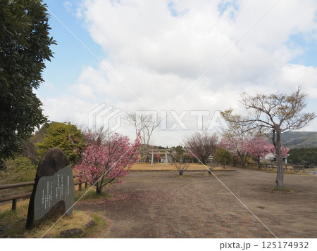 ふるさと詩情公園の展望広場(山口県田布施町) ふるさと詩情公園の展望広場(山口県田布施町) 125174932