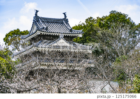 西尾市歴史公園(4月初旬) 本丸丑寅櫓(ほんまるうしとらやぐら) 西尾市歴史公園(4月初旬) 本丸丑寅櫓(ほんまるうしとらやぐら) 125175066