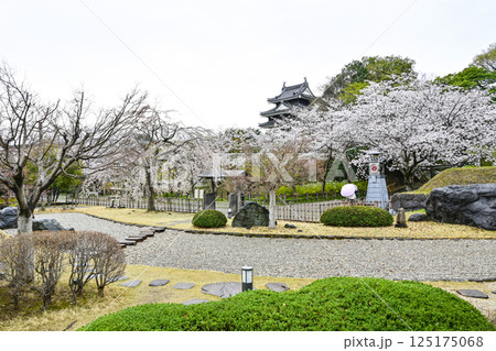 西尾市歴史公園（4月初旬） 125175068