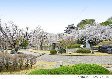 西尾市歴史公園（4月初旬） 125175070