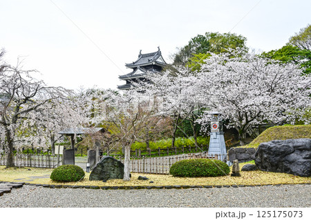 西尾市歴史公園（4月初旬） 125175073