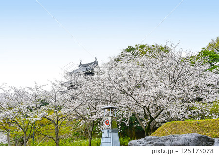 西尾市歴史公園(4月初旬) 西尾市歴史公園(4月初旬) 125175078