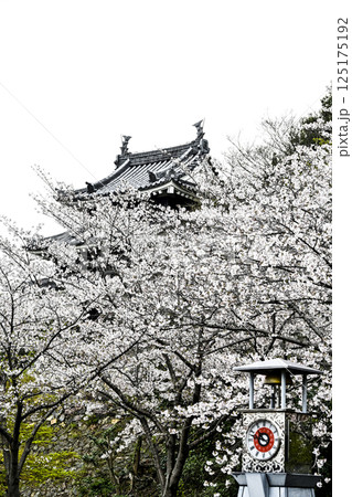 西尾市歴史公園（4月初旬）　本丸丑寅櫓（ほんまるうしとらやぐら） 125175192