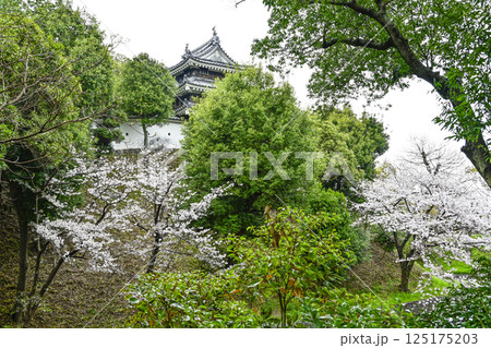 西尾市歴史公園（4月初旬）　本丸丑寅櫓（ほんまるうしとらやぐら） 125175203