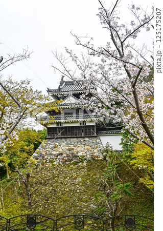 西尾市歴史公園（4月初旬）　本丸丑寅櫓（ほんまるうしとらやぐら） 125175207