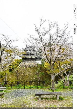 西尾市歴史公園（4月初旬）　本丸丑寅櫓（ほんまるうしとらやぐら） 125175208