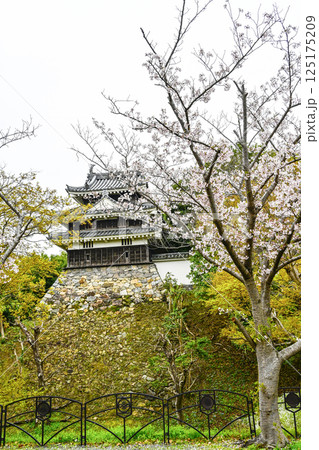 西尾市歴史公園（4月初旬）　本丸丑寅櫓（ほんまるうしとらやぐら） 125175209